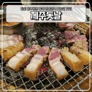정발산공원 산책로 입구 | 정발산역 맛집 제주돗날 오겹살 즐기기 좋은 일산 호수공원 근처 맛집 추천