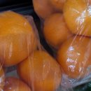 대양 푸줏간 이미지