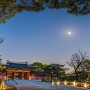 달빛명월 이미지