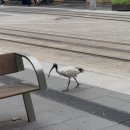 롱블랙로스터스앤브루잉 | 왜 이해해야 하는 쪽은 언제나 정해져 있을까