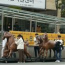 순천-76호 이미지