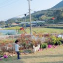 바다정원민박 이미지