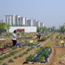 일대농장(2) 이미지