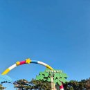 경주카 | 경주 관성솔밭해변 노지캠핑 후기｜양산 캠핑카대여 겨울 바다 캠핑카 여행