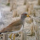 김신환동물병원 이미지