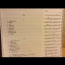 오카리나 (연주자) 이미지