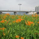 고양능곡13 이미지