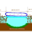 얼음낚시-연안수초보다 말풀지역이 유리한 이유 이미지