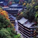 단양 보발재에서 즐기는 단풍 드라이브 이미지