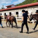 소방공원 이미지