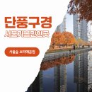 숲속 마사터널아지트 복합문화공간 | 서울 가볼만한곳 단풍구경 서울숲 보라매공원