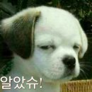 파트라슈 - 구리시 갈매순환로204번길 15-10 | 파트라슈