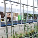 원복농장 이미지