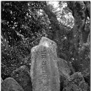 와흘본향당 이미지