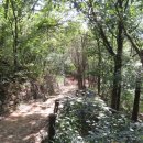 봉제산 등촌동 숲속놀이터 이미지