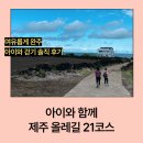아이와 함께 제주 올레길 21코스 걷기 후기｜점심·지미봉 우회·완주까지