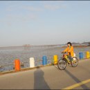 옥도면사무소 이미지