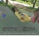 에스지상사 이미지