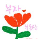 예미지부자공인중개사사무소 이미지