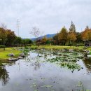 장자호수공원 이미지