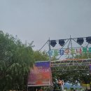 GS25구포나루 | 25/9/28 구포나루축제 봉사 후기