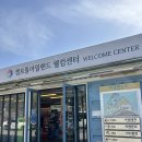 아일랜드 바베큐 | 가평 캠프통아일랜드 럭스캠프D 바베큐 PKG 3인 D17 객실 내돈내산 후기 (객실 추천, 객실 앞 바베큐 후기)