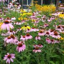 문경목장 이미지