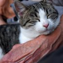 송파원동물병원 이미지