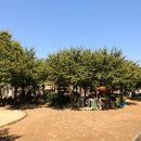 벌말공원2 이미지