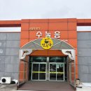 남조로수망교차로 3 | 제주도 맛집 면주막 본점_ 제주고기국수 전복죽 맛있는 곳 추천