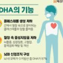 이로약국 | 약국 오메가3 추천 순도 함량 비교분석 구매 후기