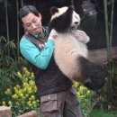 뽀시래기 이미지