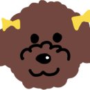 부산갈메기 | 부산 연산동 맛집_박대포소금구이 삼겹살 세트 솔직후기