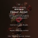 아도니스헬스케어 | "탈모인들은 주목! 3년 넘게 먹던 탈모약 끊게 된 이유 (feat. 보타랩 데저티콜라 플러스 샴푸)