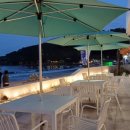 세파에 따르지    이미지