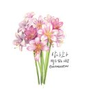 수목원수선 이미지
