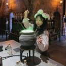 2023-0074 | 도쿄 해리포터 스튜디오 관람시간 예약 입장권 굿즈샵 후기