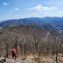 규식농장 이미지