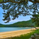 나로우주해수욕장 이미지