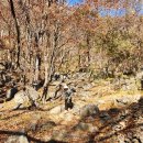 진틀주차장 이미지