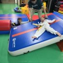 일진태권도장 이미지