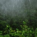 덕신외로 이미지