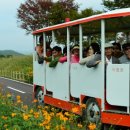 (주)꽃과사람