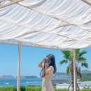보레드베이커스