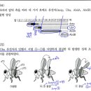 3권 15장 발생과생식 17번 이미지