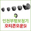 백세보청기 인천부평센터 | 인천 보청기 전문가 추천: 오티콘 Own SI의 진짜 매력(부평보청기 사례)