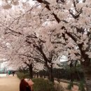 신석체육관 이미지