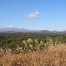 선달농장 이미지