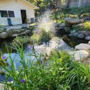 리더스 관 이미지