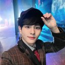 알로하